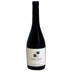 Barbera frizzante DOC